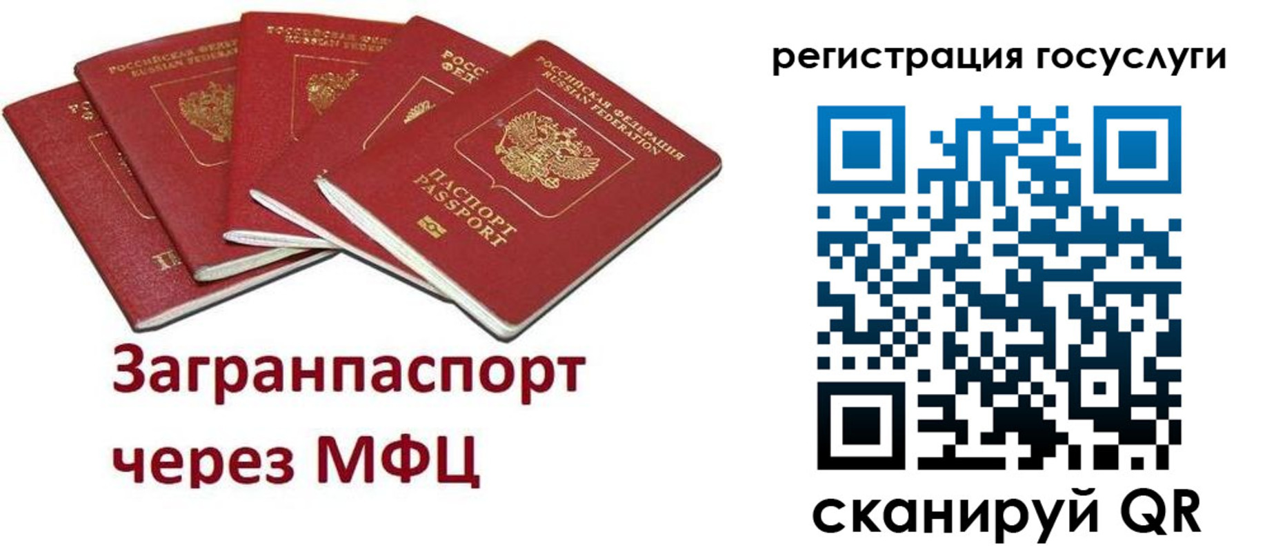 прописка 2025 в Шилке
